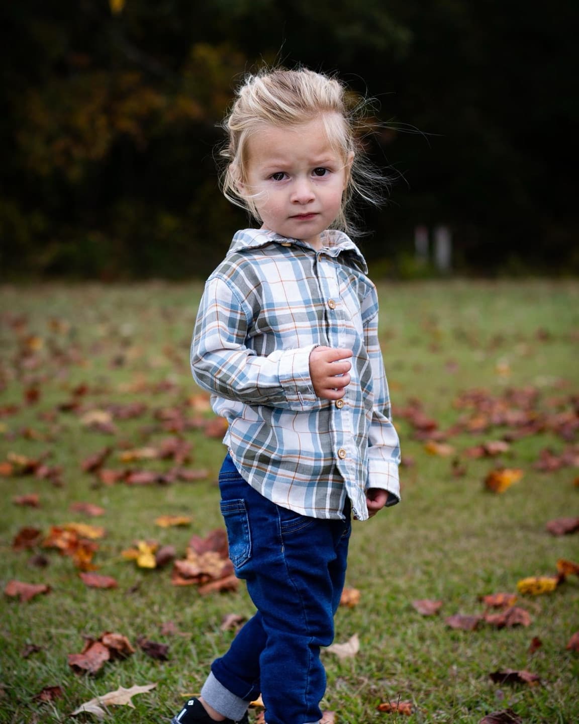 A toddler in a plaid shirt standing among fallen leaves
